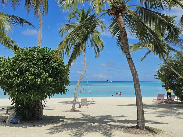 Profiter du glamping en toute saison